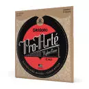 DAddario - EJ45 - Pro Arte Silver\/Clear\/Normal