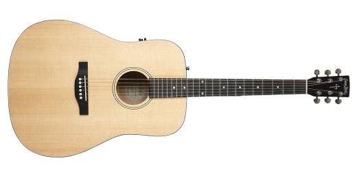 Woodland Concert Dreadnought Guitar w/QIT and Bag