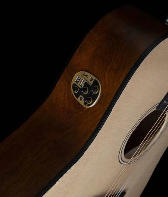 Woodland Concert Dreadnought Guitar w/QIT and Bag