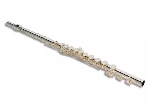 507S - Silver Plated Flute Outfit