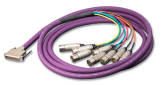 Switchcraft - DB25 Male to 8XLR Female Breakout Cable - 10/3m