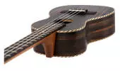 Arch Back Ebony Concert Ukulele
