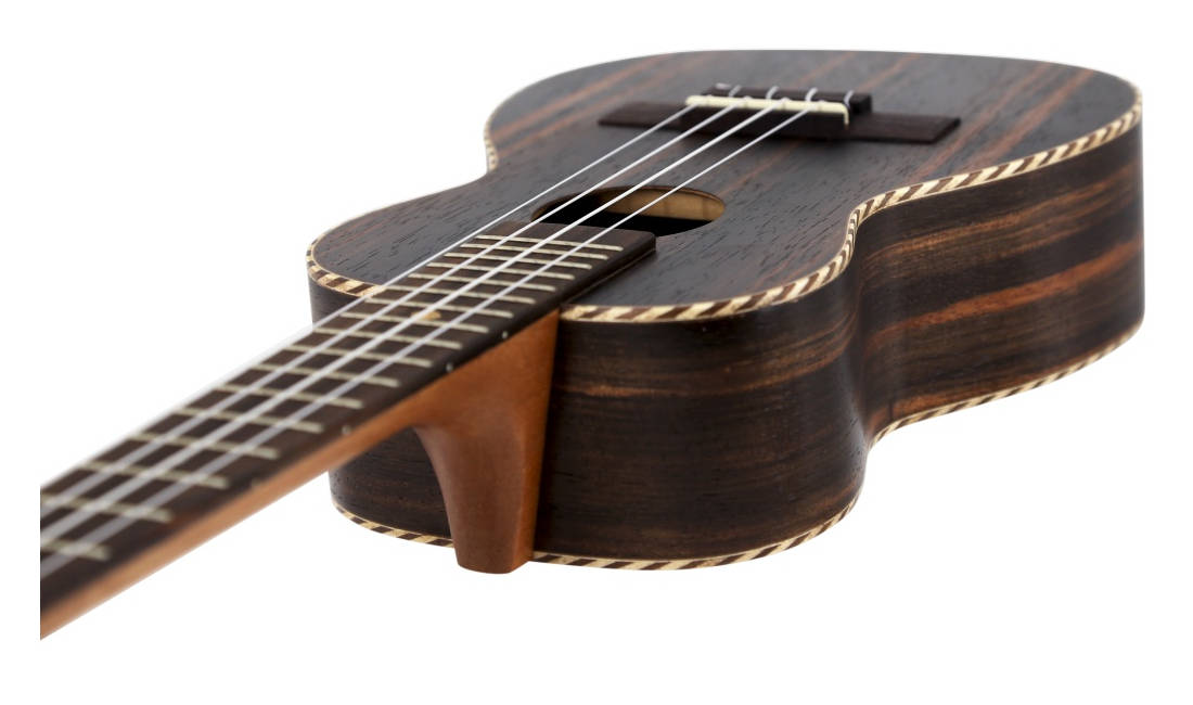Leho Arch Back Ebony Concert Ukulele Long & McQuade