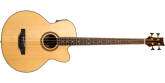 BeaverCreek - BCB05CE Acoustic Bass with Pickup/Tuner - Natural