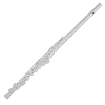 Trevor James - 10x Silver Plated Student Flute - Offset-G, C-Foot