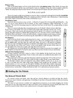 First Lessons: Tin Whistle - Larsen - Book/Media Online