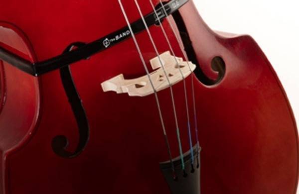 The Band String Bass Pickup
