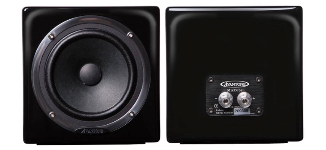 speaker pioneer 10 inch