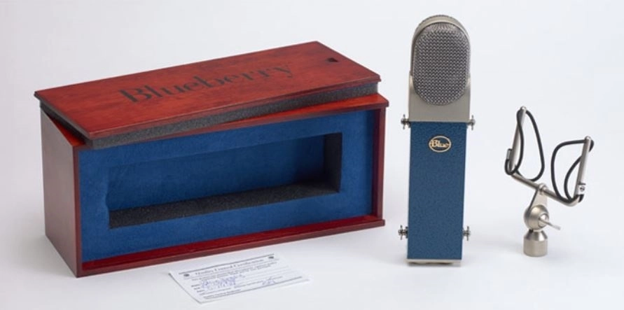 Blueberry Microphone Kit