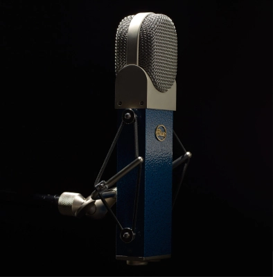 Blueberry Microphone Kit