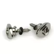 DAddario - Elliptical End Pins - Chrome (2)
