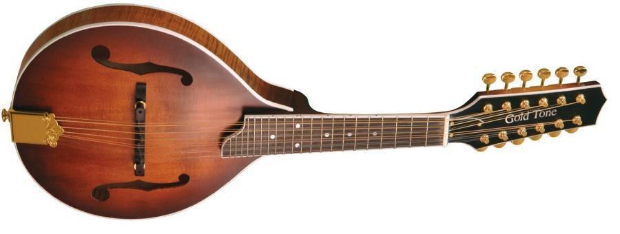 GM-12+ 12-String Guitar Style Mandolin