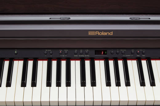 RP501 Digital Piano with Stand / Speaker / Bench - Contemporary Rosewood