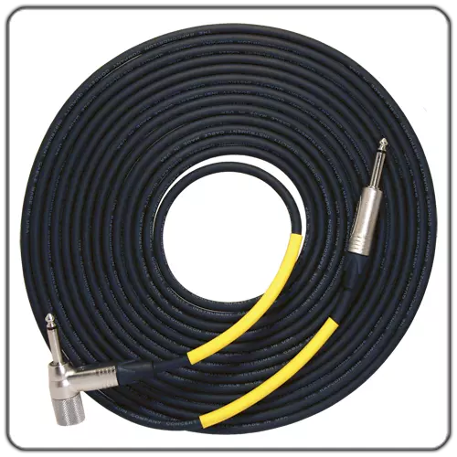 Taylor V-Cable - 250k - 10ft