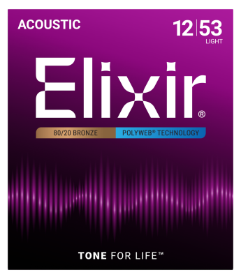 80/20 Bronze Acoustic Guitar Strings w POLYWEB Technology, Light (.012-.053)