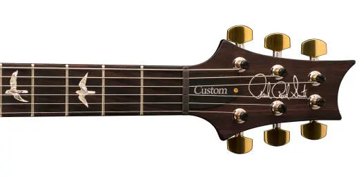 Custom 24 Electric Guitar with Pattern Regular Neck, Case Included - Charcoal Burst