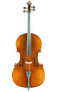 Eastman Strings - VC305 1/2 Cello Outfit with Bag and Carbon Bow