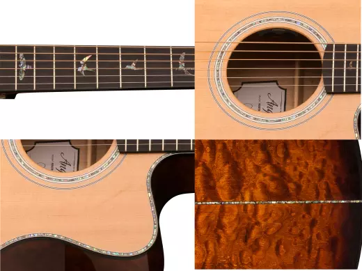 SE A55E Angeles Acoustic/Electric Guitar with Case - Black Gold