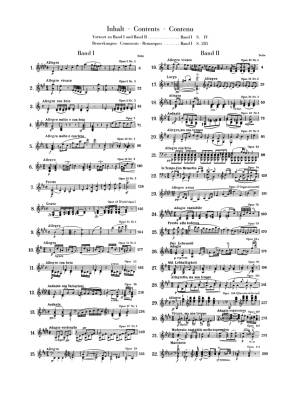 Piano Sonatas, Volume II - Beethoven/Wallner/Hansen - Piano - Book