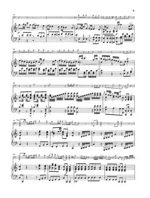Violoncello Concerto C major Hob. VIIb:1 - Haydn/Gerlach - Cello/Piano - Sheet Music