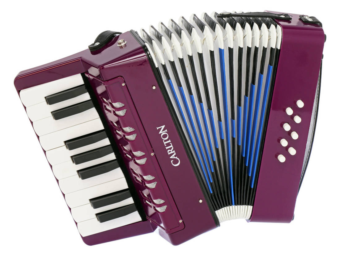 Children\'s Chromatic Piano Accordion - Purple