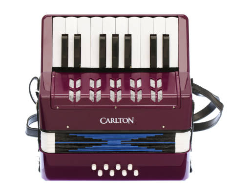 Children\'s Chromatic Piano Accordion - Purple