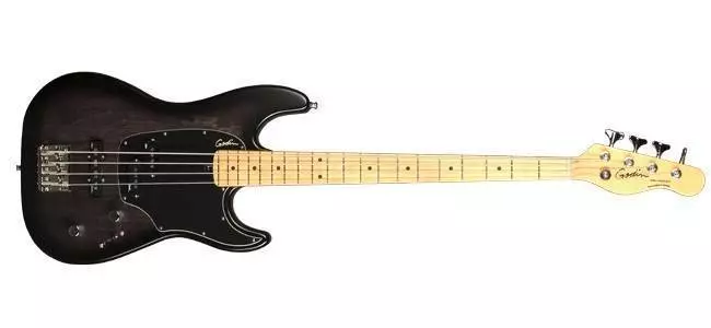 Shifter Classic Blackburst SG MN