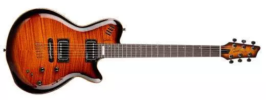 LGX-SA Cognac Burst Flame AA