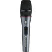 Sennheiser - E865 S Handheld Supercardioid Condenser Microphone with Noiseless On/Off Switch
