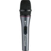 Sennheiser - E865 S Handheld Supercardioid Condenser Microphone with Noiseless On\/Off Switch