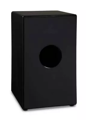 Cajon à cordes en fibre de carbone Woodshop