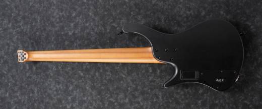 Ibanez Ibanez Bass Workshop EHB1005 - Black Flat | Long & McQuade