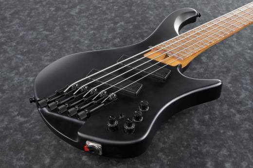 Ibanez Bass Workshop EHB1005MS 5-String Multi-Scale - Black Flat