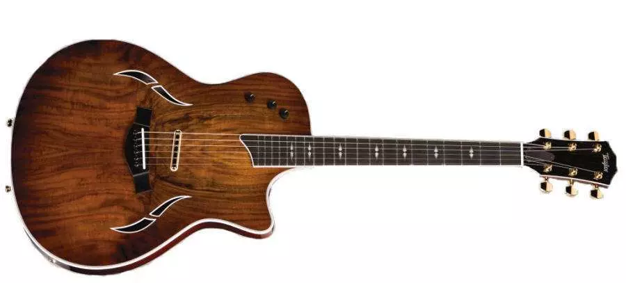 T5 Custom Acoustic-Electric Guitar with Walnut Top