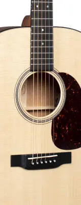 D-16e Mahogany Dreadnought Acoustic/Electric Guitar with GIgbag