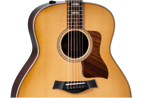 818e Grand Orchestra Acoustic-Electric with V-Class Bracing