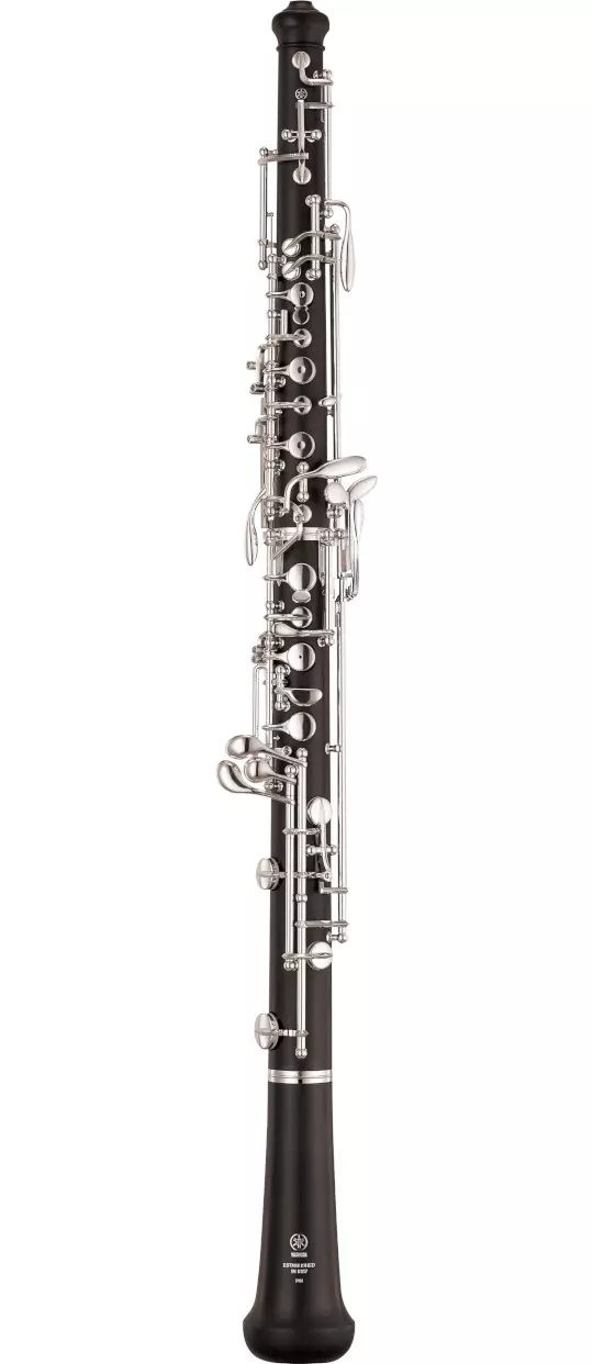 Student Oboe image