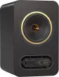 Tannoy - GOLD 5 Powered 200W Dual Concentric Monitor with 5 Woofer (Single)