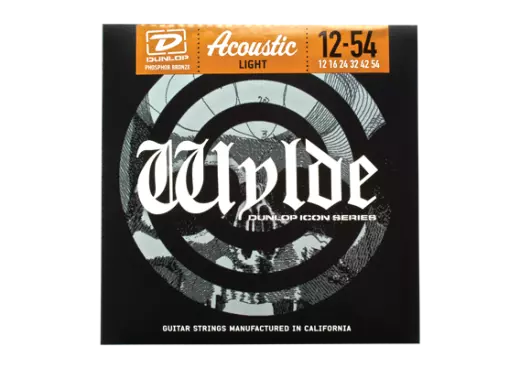 Zakk Wylde Acoustic Strings Light 12-54