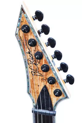 Shredzilla Extreme Electric Guitar - Spalted Maple