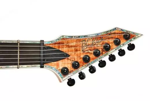 Shredzilla Extreme 7-String Electric Guitar - Spalted Maple
