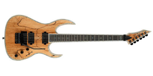 B.C. Rich - Shredzilla Prophecy Archtop with Floyd Rose - Spalted Maple
