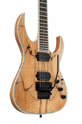 Shredzilla Prophecy Archtop with Floyd Rose - Spalted Maple