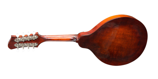 A-Style Oval Sound Hole Mandolin with Case - Solid Spruce