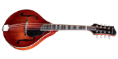 Eastman Guitars - A-style Mandolin Solid Spruce w/Electronics & Case