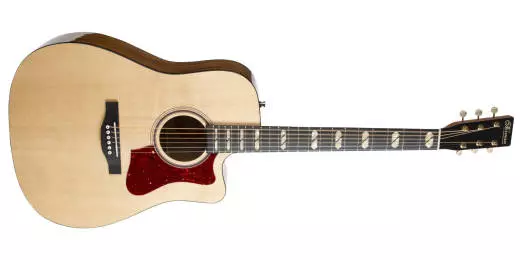 ST40 CW Acoustic-Electric Guitar w/TRIC Case - Natural