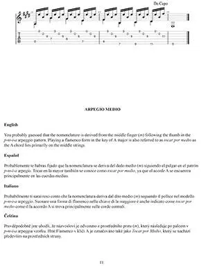 Progressive Exercises for Flamenco Guitar - Piga - Classical Guitar TAB - Book/Audio Online