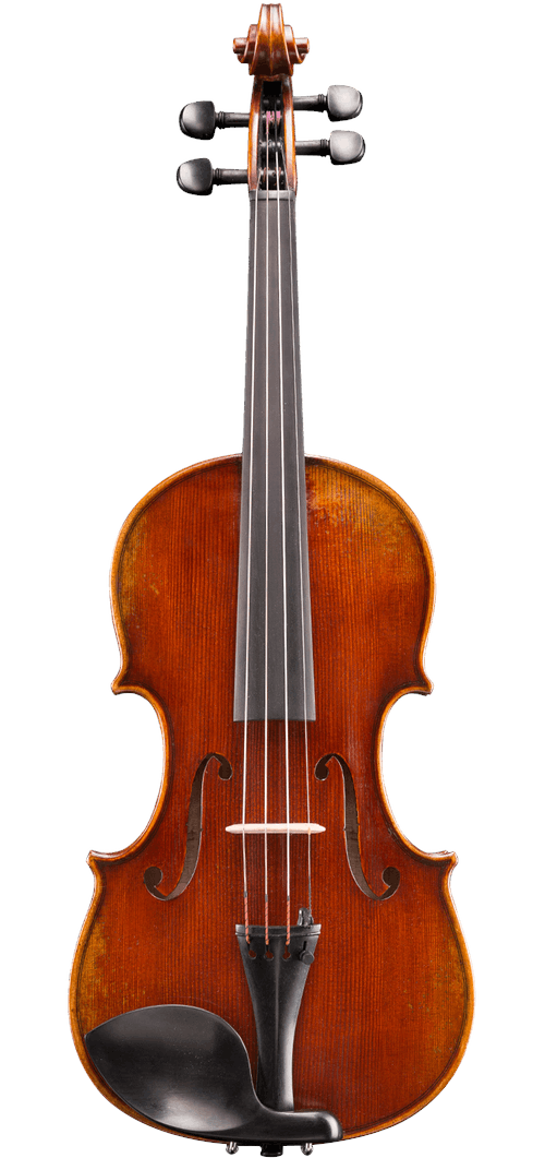 VL701 Rudoulf Doetsch 4/4 Professional Violin Outfit