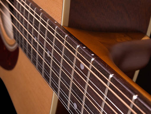 Coastline S12 Cedar 12-String Acoustic-Electric Guitar