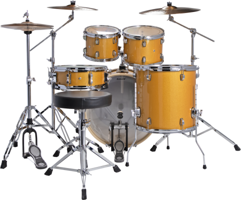 Evolution 5-Piece Drum Kit with Hardware and I Series Cymbals (22, 10, 12, 16, SN) - Gold Sparkle